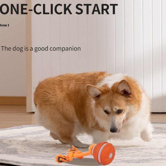 Pet Ball For Dogs Interactive Toys Motion Activate Rolling Ball For Puppy Small Dogs Automatic Moving Toy USB Rechargeable Toy Pet Products